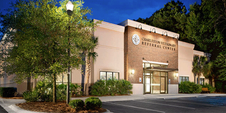 Montecito Medical Acquires Veterinary Property in Charleston, SC